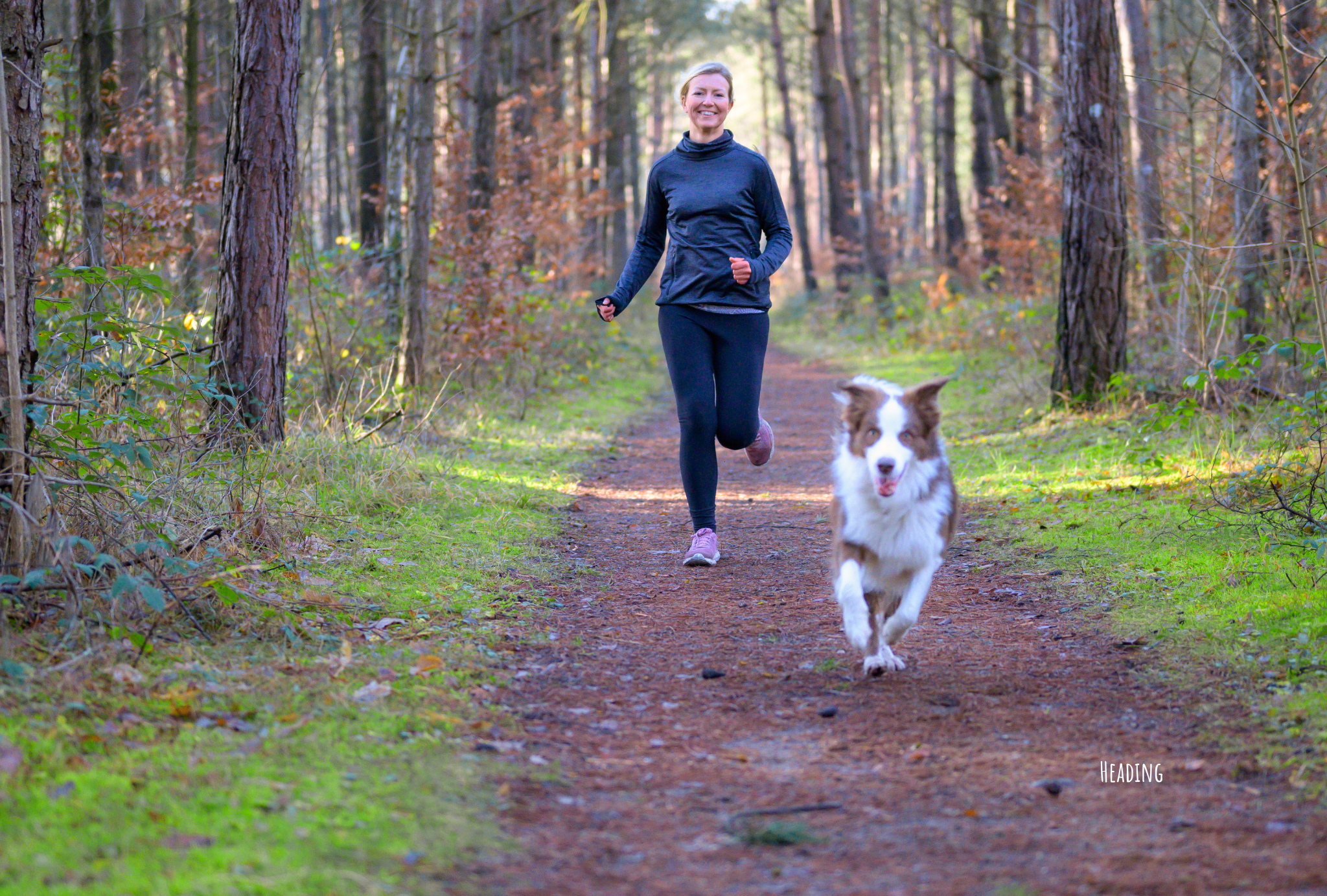 Healthy Alternatives to Rawhide: Why Buffalo Is Better