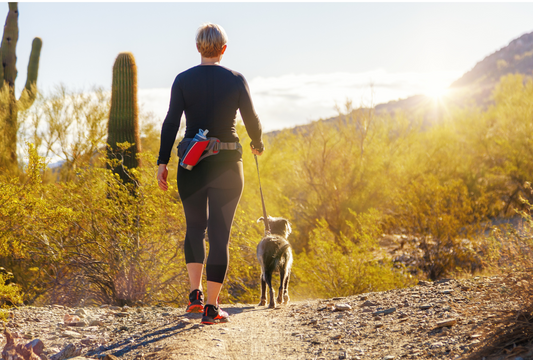 10 Spring Time Activities to Do with Your Dog