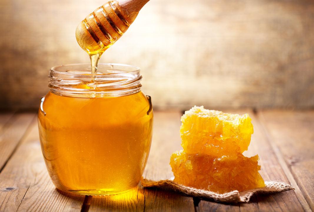 can dogs have honey
