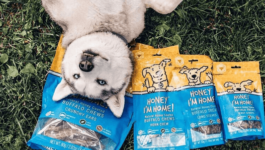 white dog with pointy ears, on it's back in the grass, head resting on honey i'm home dog treats 