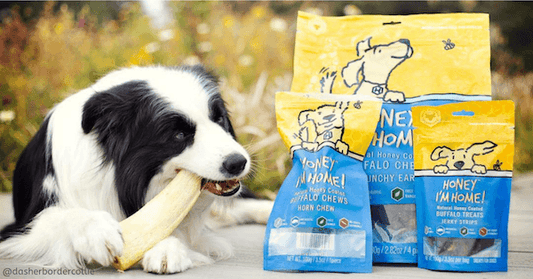 Dog chewing on Honey I'm Home 100% Buffalo Chew