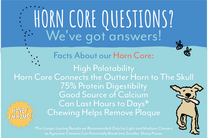 HORN CORE - Honey I'm Home Treats