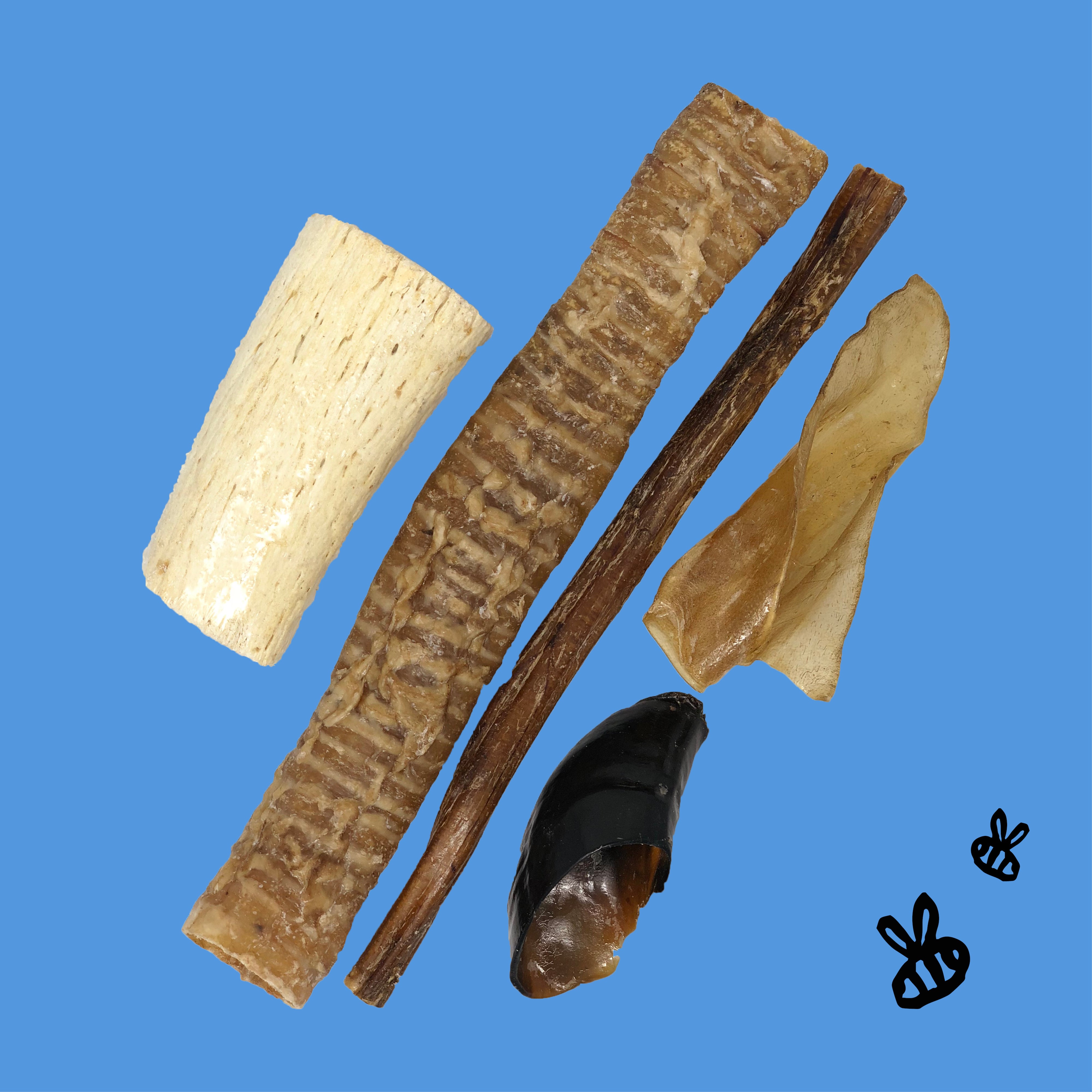 trachea tube, 12" bully stick, 6" horn core, crunchy ear, hoof on blue background w/ black bees.

