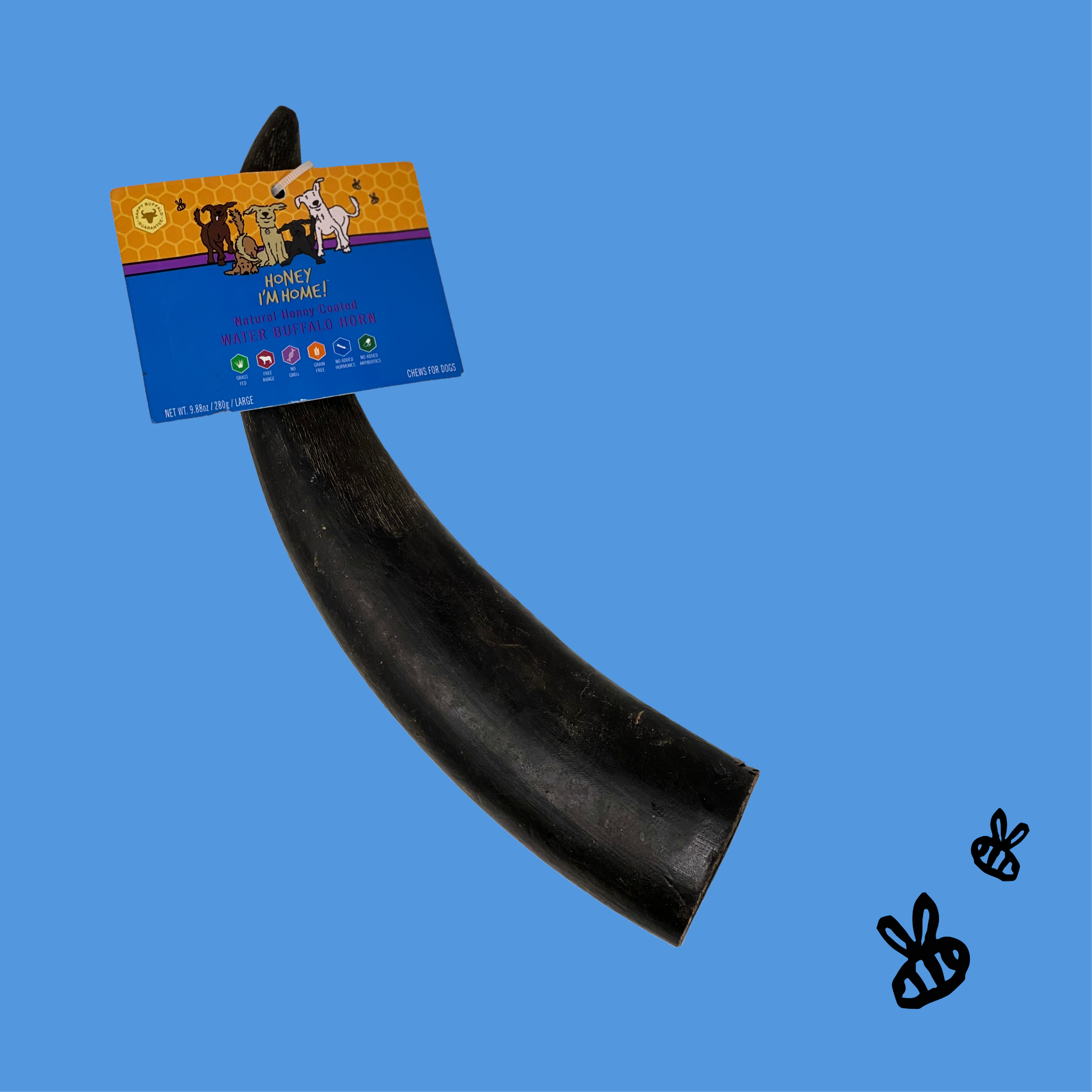large water buffalo horn chew. yellow and blue info tag at top on a sky blue background. (1 pc).  