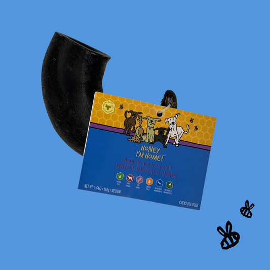 medium 100% water buffalo horn chew. yellow and blue tag with description. On a sky blue background.