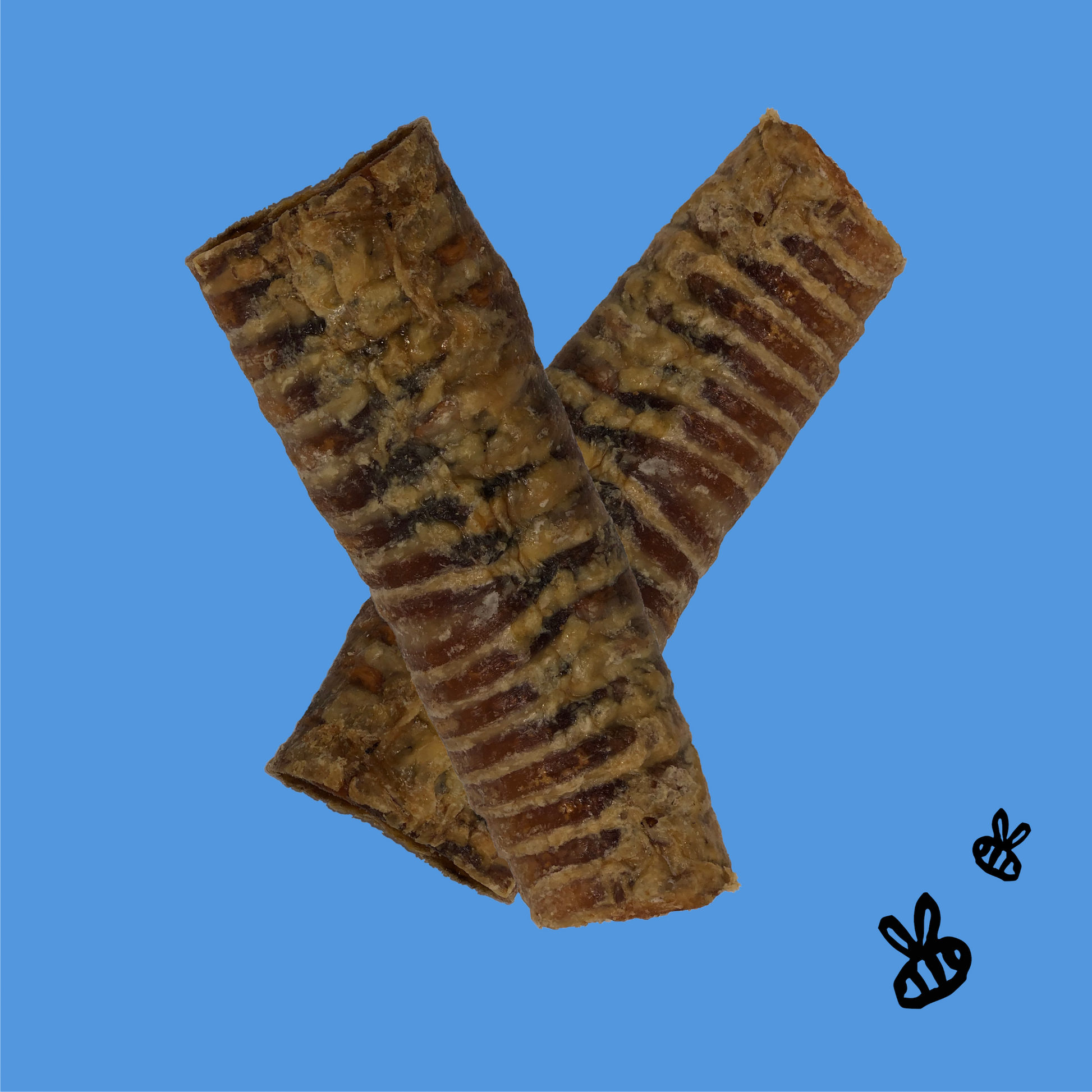 two honey coated buffalo trachea tubes, bright blue background. two little black bees, bottom right